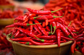 Red Chilli
